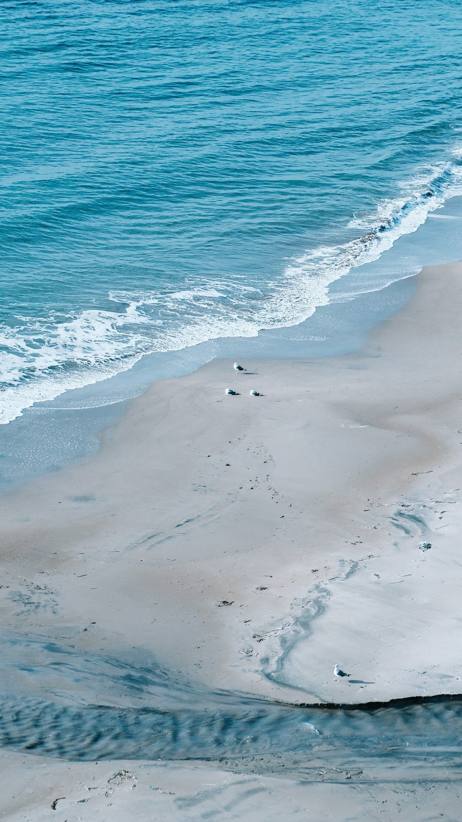 白い波が寄せる海辺の風景